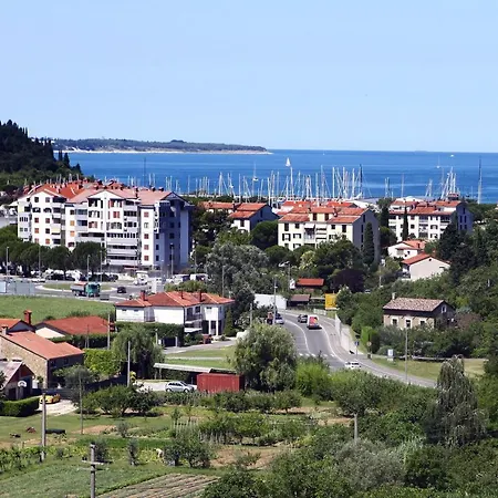 Fiore Portoroz